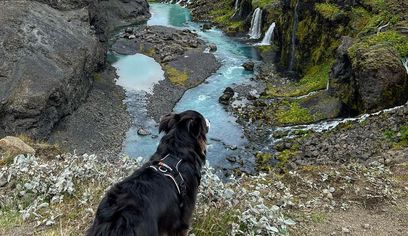 Landmannalaugar & Hekla Volcano Private Adventure — photo 8