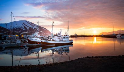 Classic Whale Watching from Dalvík — photo 10