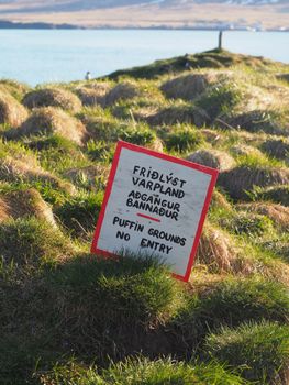 Seyðisfjörður: Puffins, Reindeer & Eastfjords Tour — photo 10