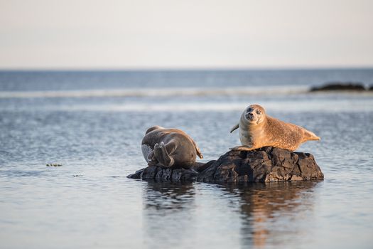 A Premium Private Tour of Ancient Legends and Natural Marvels of Snæfellsnes! — photo 29