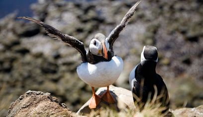 BIRD CLIFFS & BEAUTIFUL BEACHES - biking