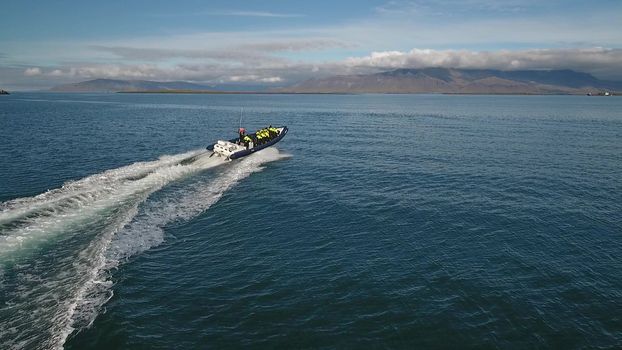 RIB Express - Whale Whatching- from Downtown Reykjavik — photo 13