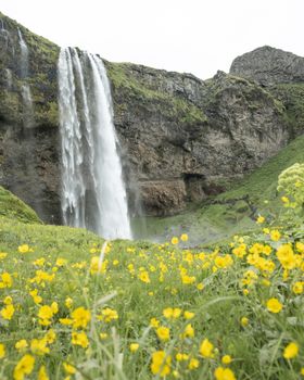 South Coast & Katla Ice Cave — photo 7