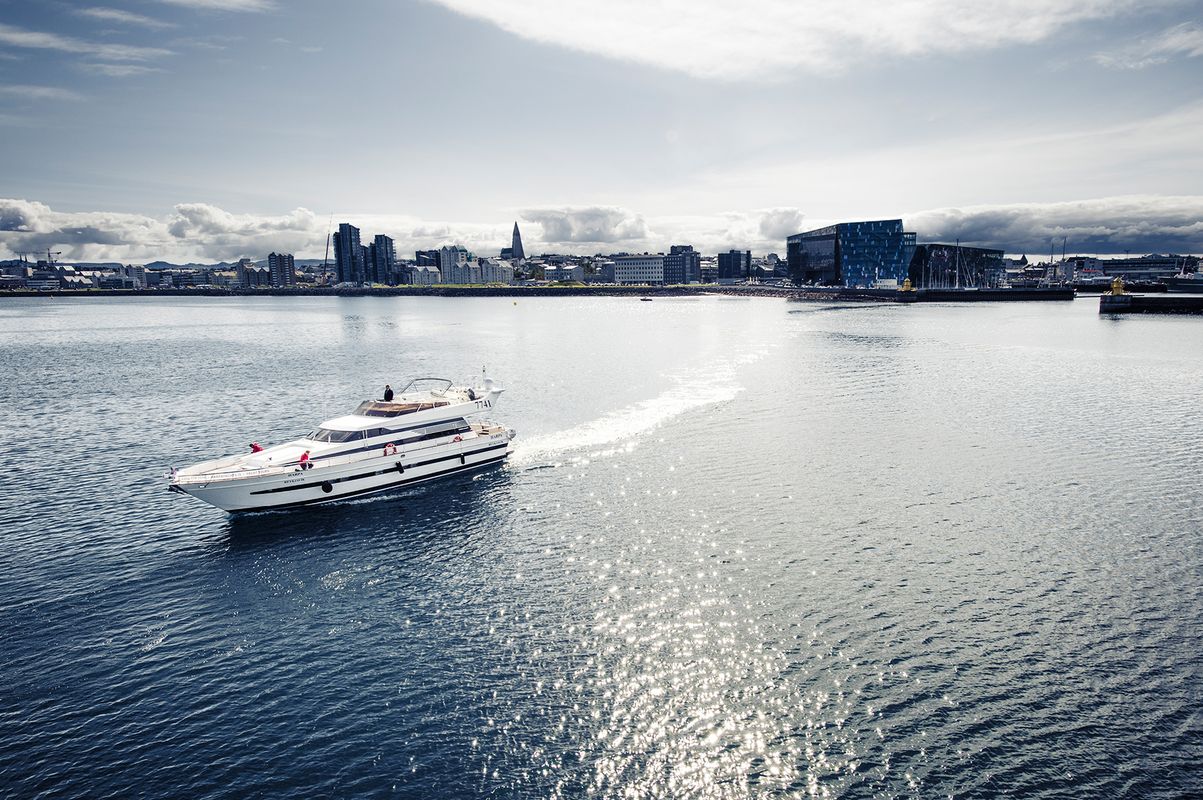 Harbor Cruise with Three Course Dinner from Reykjavik, photo 14 of 18