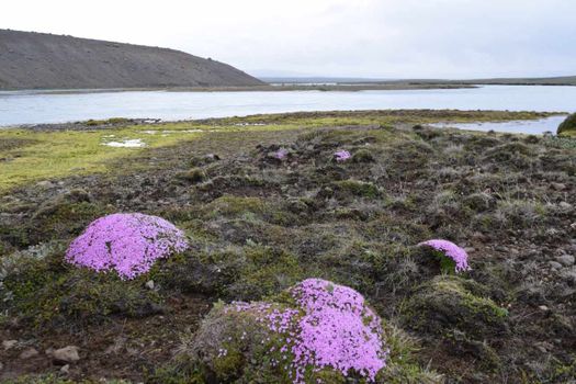 The Ultimate 2-in-1 Iceland Experience: Golden Circle & South Coast — photo 12