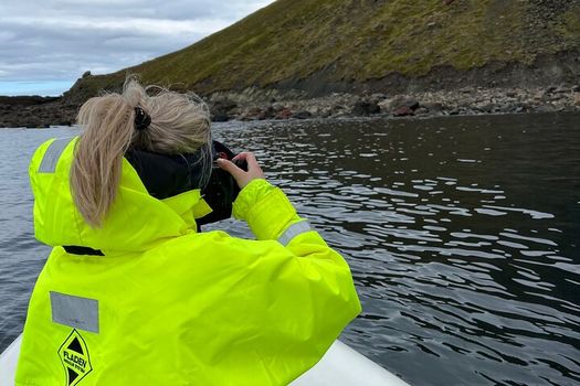 Viking Wildlife RIB Adventure — photo 28