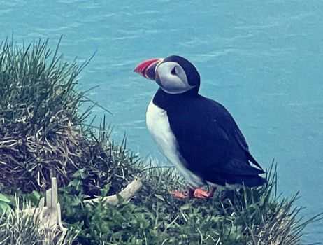 Private South Coast to Vík — photo 7