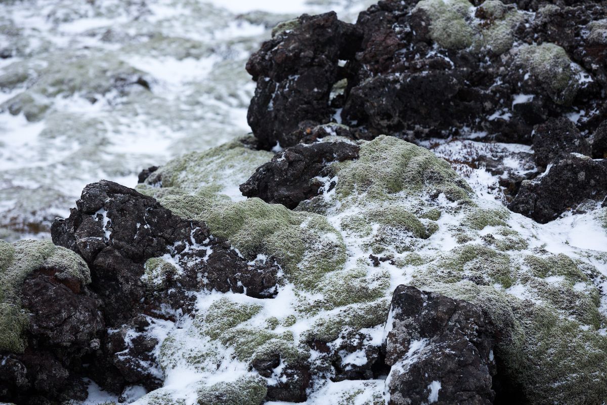 Reykjanes Lava Circle: Private Adventure to New Lava & Grindavík, photo 55 of 97