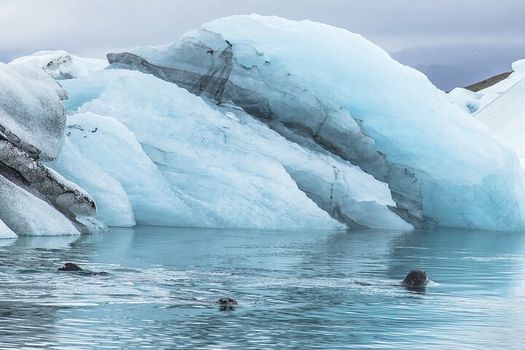 Jökulsárlón Glacier Lagoon Private tour — photo 3