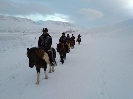 The Viking-Ride- All in One — photo 7