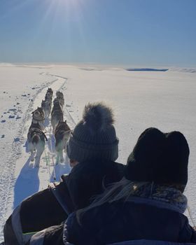 Siberian Husky Dog Sledding — photo 5