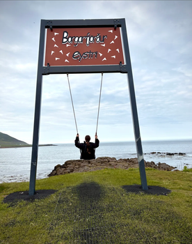 Seyðisfjörður: Puffins, Reindeer & Eastfjords Tour — photo 7