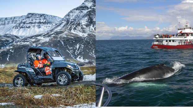 Buggy & Whales