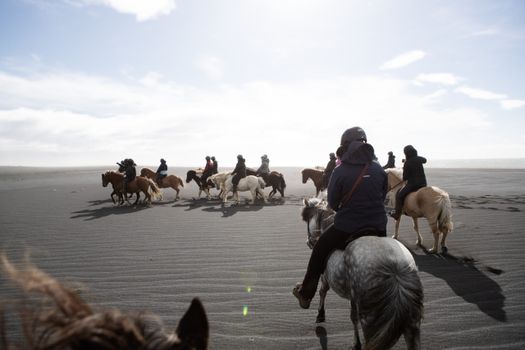 Black Sand Beach Riding Tour — photo 7