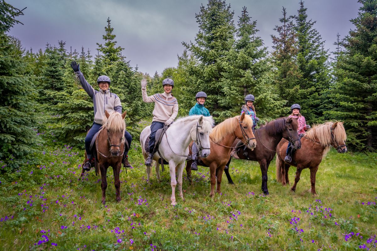 Viking Horses Mjölnir Afternoon Tour, photo 9 of 10