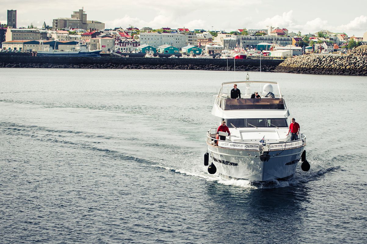 Harbor Cruise with Three Course Dinner from Reykjavik, photo 15 of 18