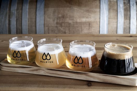 The Private Reykjavik Microbrewery & Distillery Tour — photo 6