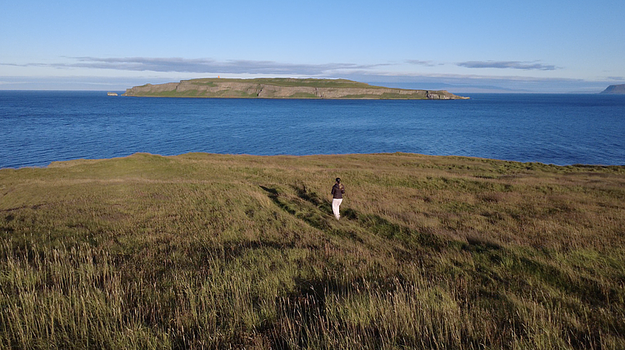 Grímsey Wildlife Tour — photo 4