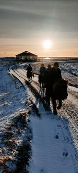 02G - Icelandic Diversity — photo 8