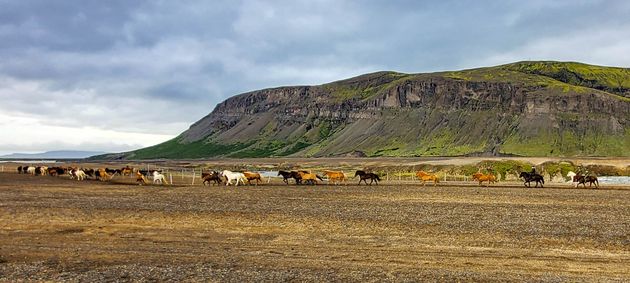Landmannalaugar Super Jeep from Reykjavik — photo 15