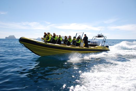 Solar Eclipse by RIB Speedboat from Reykjavík — photo 3