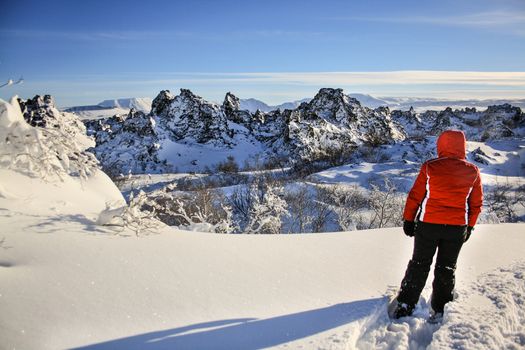 Lake Mývatn & Snowmobile Tour from Akureyri — photo 2