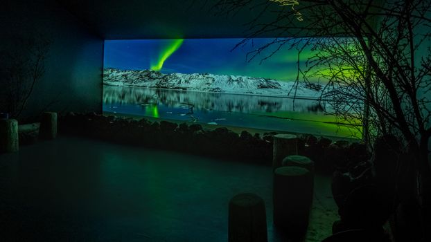 Aurora Reykjavík, The Northern Lights Center of Iceland - Museum Visit — photo 4