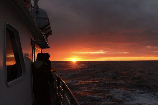 Reykjavík Classic Whales in the Midnight Sun — photo 15