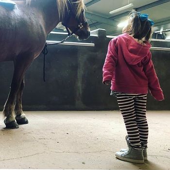 Stable Visit — photo 4