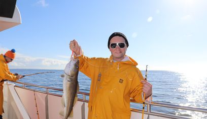 Whales & Sea Angling