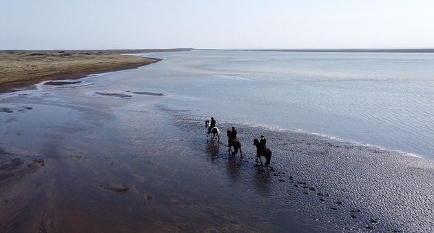 Black Sand Beach Riding Tour — photo 4