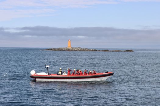 Express Whale Watching From Dalvík — photo 9