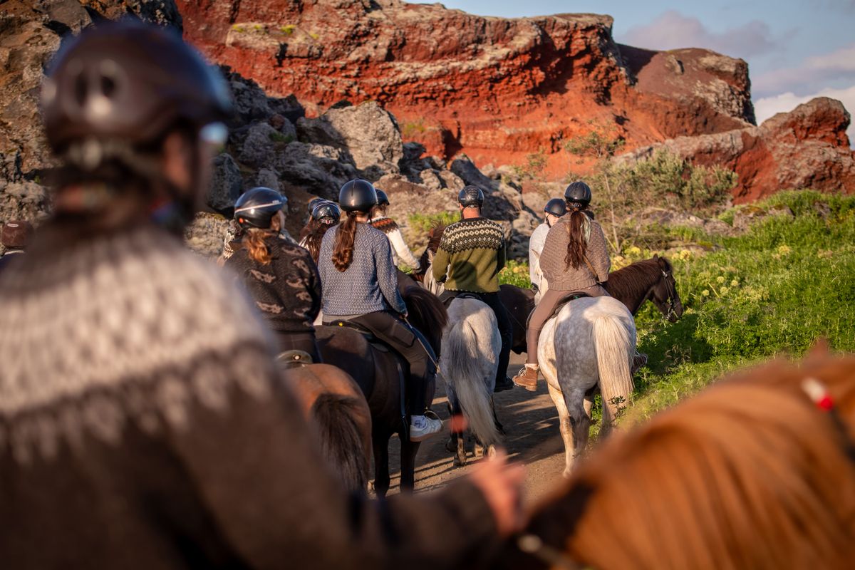 Viking Horses Sleipnir Evening Tour, photo 8 of 10