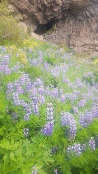 Discover the Reykjanes Peninsula: Private Tour with Keflavík Airport Pickup and Dropoff — photo 7