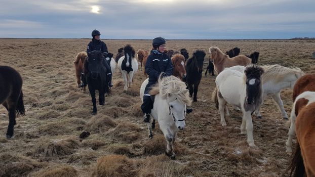 Country Ride — photo 5
