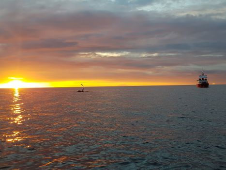 Premium Whales & Midnight Sun — photo 9