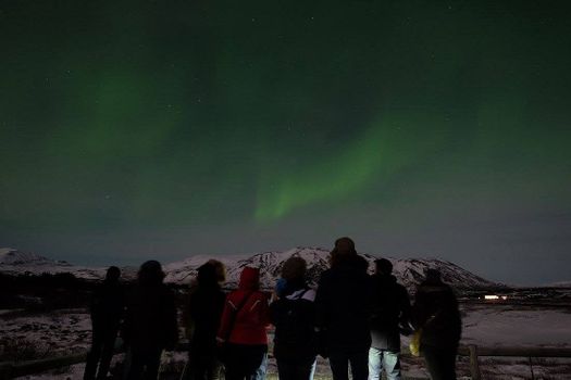 Northern Lights Bus Tour — photo 13