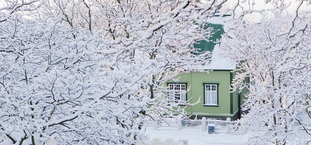 Golden Circle & Reykjavík Christmas Walk — photo 8