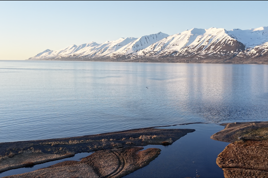Guided Kayak Tour in Árskógssandur: Explore Coastline & Wildlife — photo 6