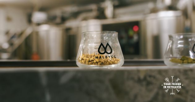 The Private Reykjavik Brewery & Beer Tasting Tour — photo 5