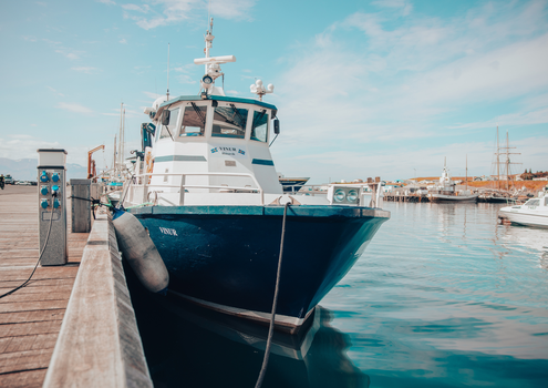 Húsavík: Small-Family Run, Responsible Whale Watching — photo 20