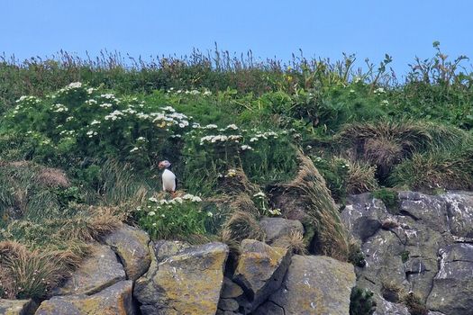 Private South Coast Tour (1-7 persons) — photo 7