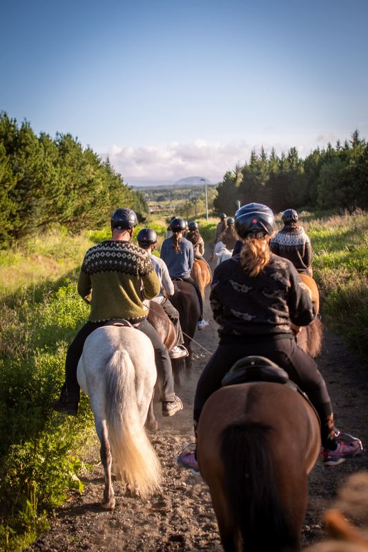 Viking Horses Sleipnir Evening Tour, photo 2 of 10