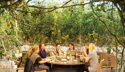 Golden Circle Small Group Tour with Friðheimar Farm Visit