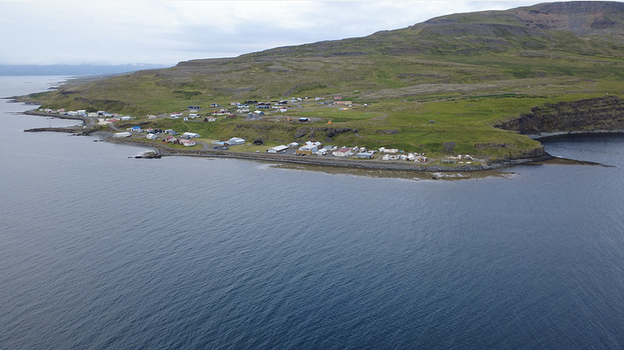 Grímsey Wildlife Tour — photo 3