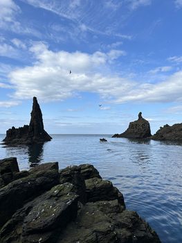 Puffin Quest — photo 22
