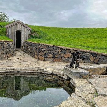 Borgarfjörður Private Adventure — photo 8