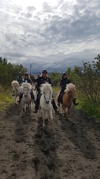 Private riding tour - 2-6 persons — photo 6