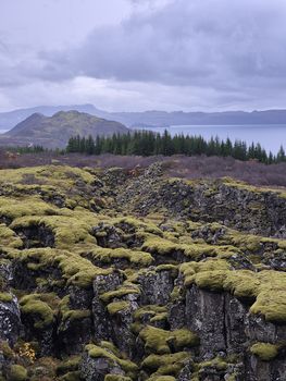 Exclusive Golden Circle Tour with Icelandic Farm Experience — photo 18