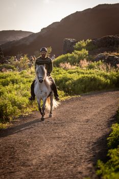 Viking Horses Sleipnir Evening Tour — photo 10